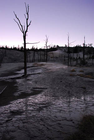 RP_landscape_082