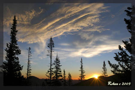 RP_landscape_137