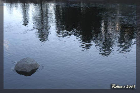 RP_landscape_155