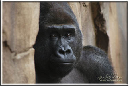 rohan_Photography_nature_sample_003